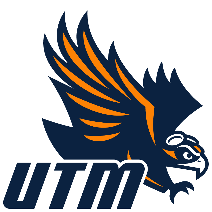 Tennessee-Martin Skyhawks 2020-Pres Secondary Logo v2 diy iron on heat transfer